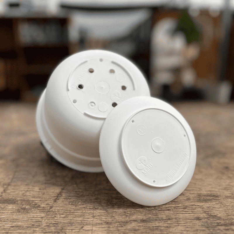 Matri Bowl con plato