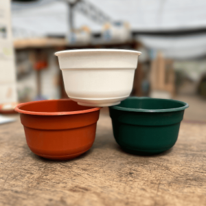 Matri Bowl con plato