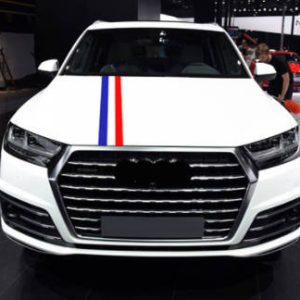 Adhesivo Automovil 4345614917133