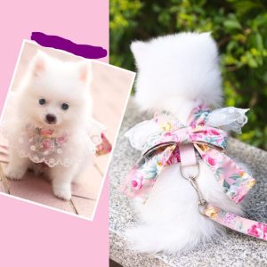 Correa De Mascota Rosada De Flores