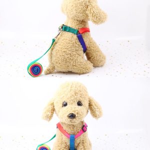 Correa De Mascotas de Colores