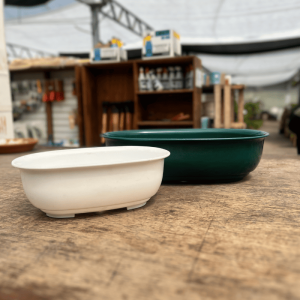 TA maceta ovalada Bonsai