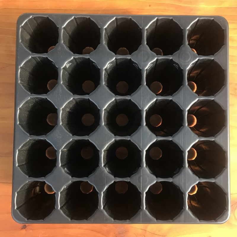 Almácigo Bandeja 25 alveolos