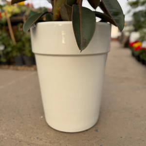 Macetas TD tipo españolas