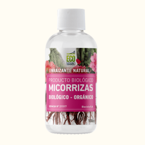 Ecomambo Micorrizas