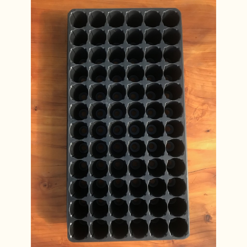 Almácigo Bandeja 72 celdas