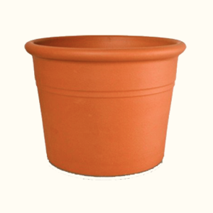 Blum Cilindro con Borde